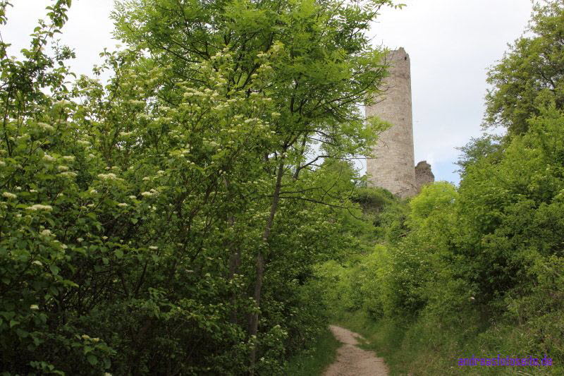 Brandenburg (9)