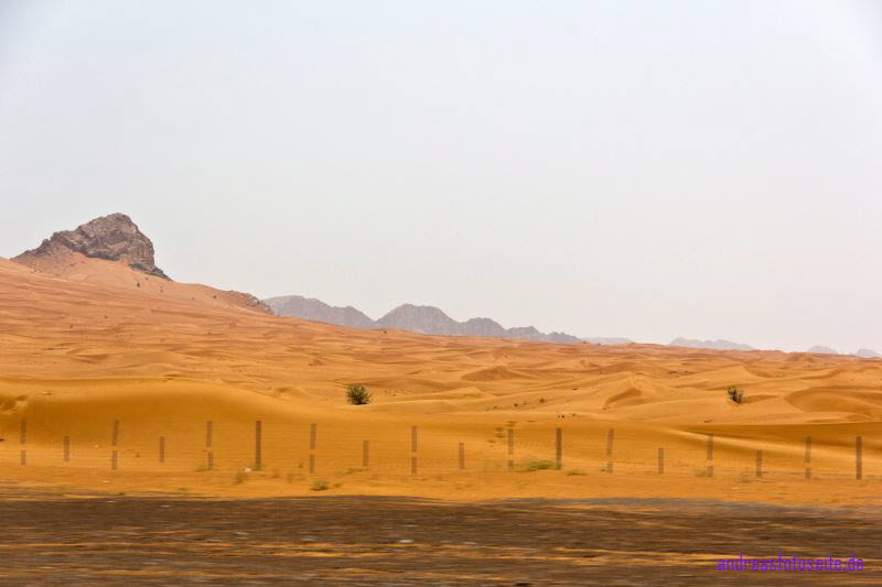 Dubai (279)