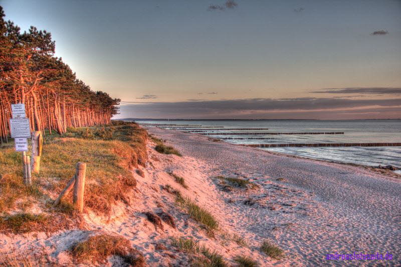 Hiddensee (351)