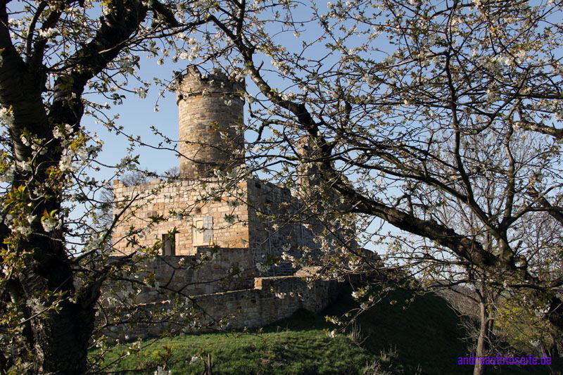 Mhlburg (3)